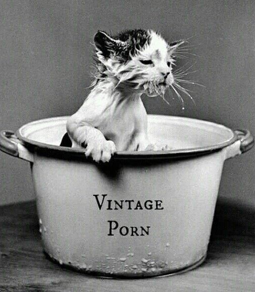 Vintage φωτογραφίες που είναι ακόμη και σήμερα σέξι